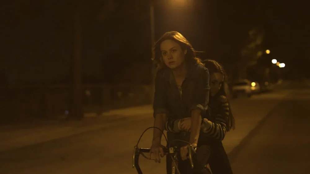 بخش کوتاهمدت شماره ۱۲ (Short Term 12)